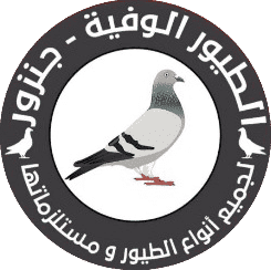اسم المتجر