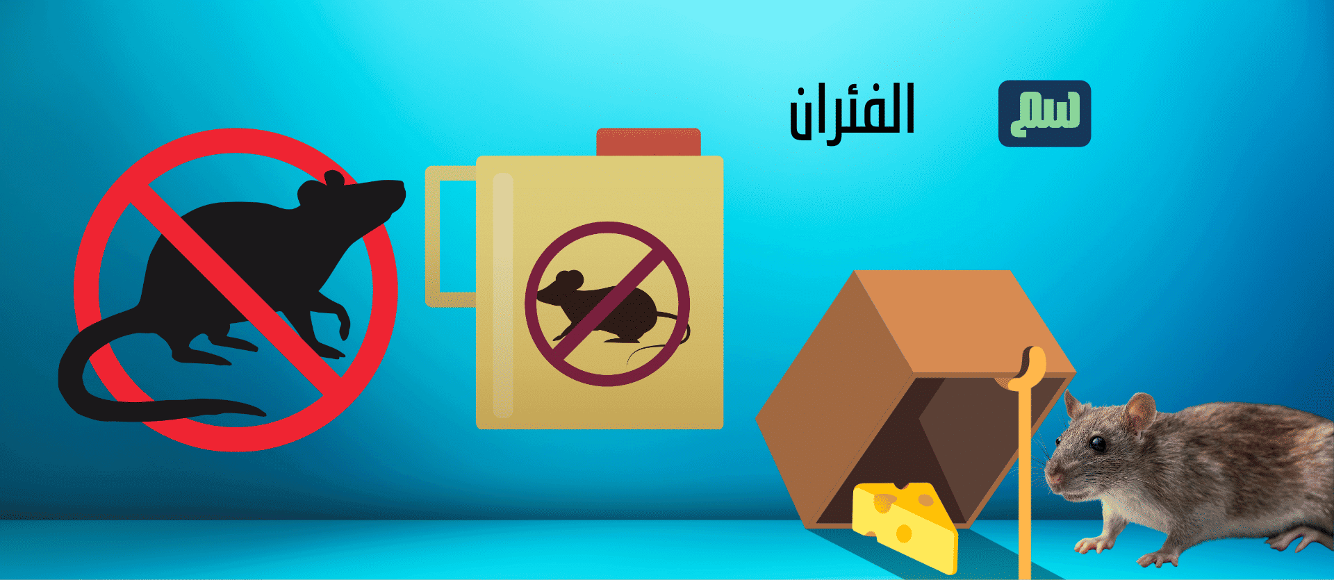 الشريحة 5