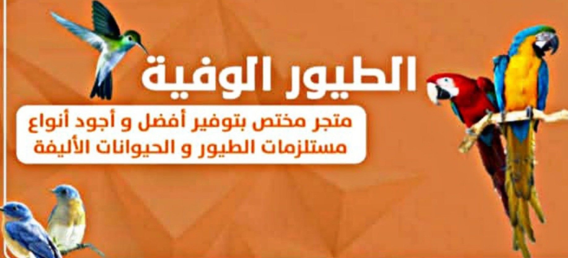 الشريحة 1